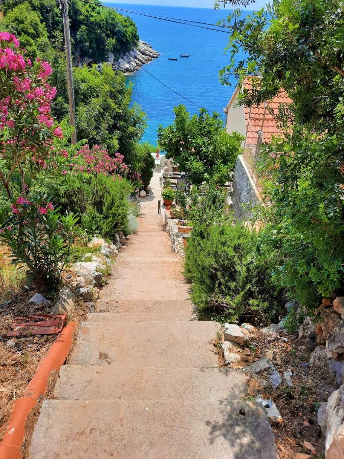 Belleview Apartments Vrbica Dubrovnik Bagian luar foto